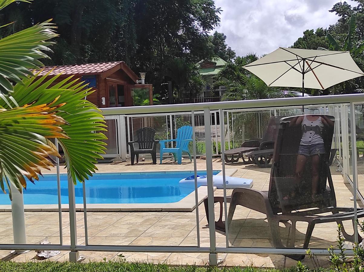 Le Tri Haut De Bellevue - Bungalow Colibri Pointe-Noire Zewnętrze zdjęcie